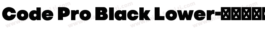 Code Pro Black Lower字体转换